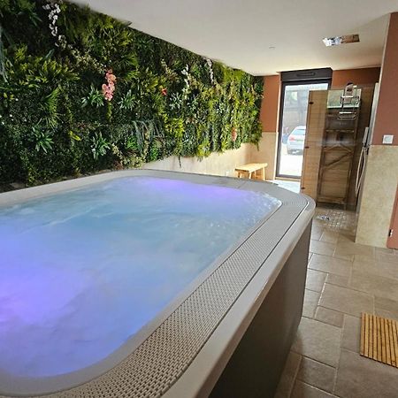 Domaine Caloin - Spa Echinghen エクステリア 写真