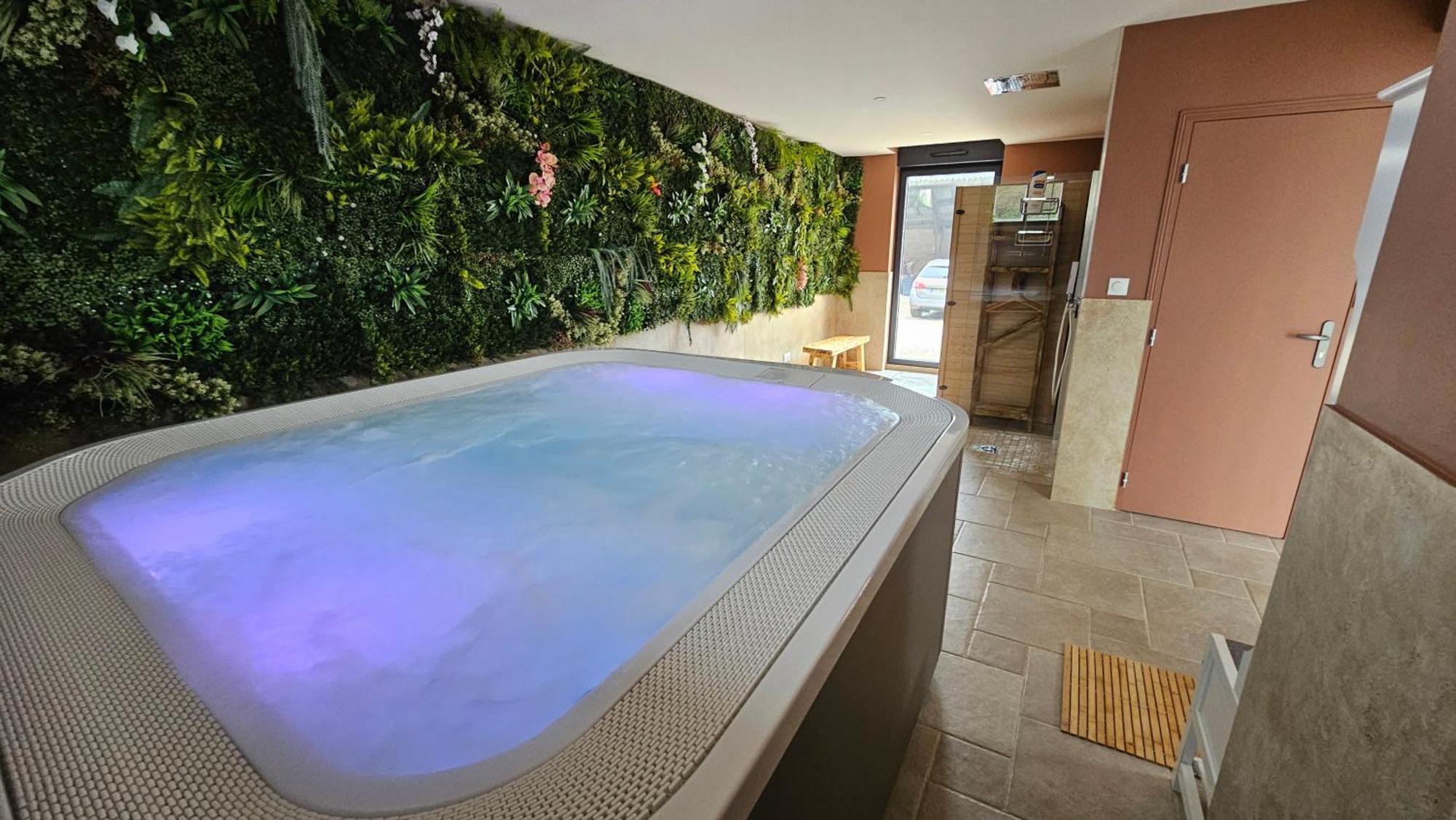 Domaine Caloin - Spa Echinghen エクステリア 写真
